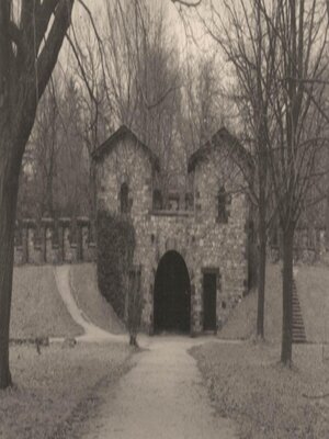 cover image of Dwarf Wall